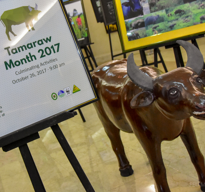 <h1>FEU Celebrates Tamaraw Month </h1>
<p>The event was the launch of a series of month-long </p>
<p style="text-align: right;"><a href="https://support.wwf.org.ph/resource-center/story-archives-2017/feu-tamaraw-month-2017/">Read More &gt;</a></p>