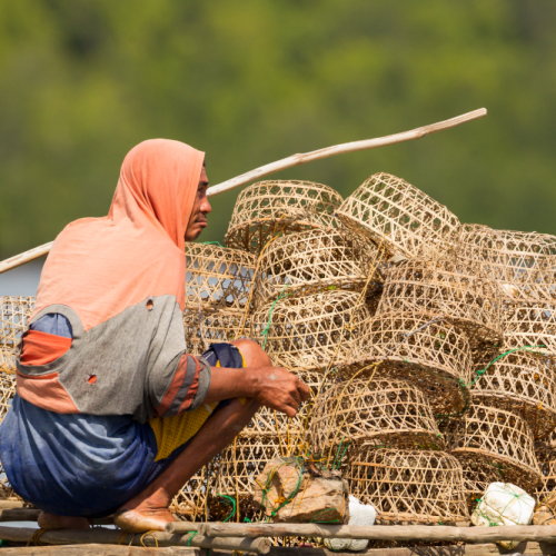 <h1>Sustainable Fisheries for Malampaya</h1>
<p style="text-align: right;"><a href="/what-we-do/food/malampaya">Read More &gt;</a></p>