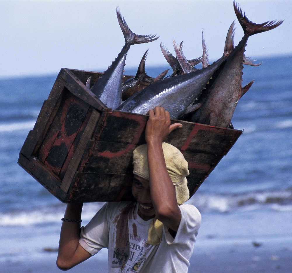 <h1>Bringing Back Tuna from the Brink</h1>
<p>Late afternoon and we’re holed up in a</p>
<p style="text-align: right;"><a href="http://thecoraltriangle.com/stories/philippines-fishers-join-forces-to-bring-back-tuna-from-the-brink" target="_blank">Read More &gt;</a></p>