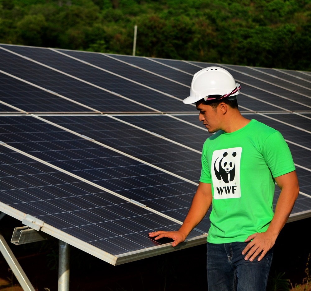 <h1>Rewnewables Best Way to Power PH</h1>
<p>For years, WWF-Philippines has advocated for </p>
<p style="text-align: right;"><a href="https://support.wwf.org.ph/what-we-do/climate/renewables/renewables-to-power-ph-dev/">Read More &gt;</a></p>