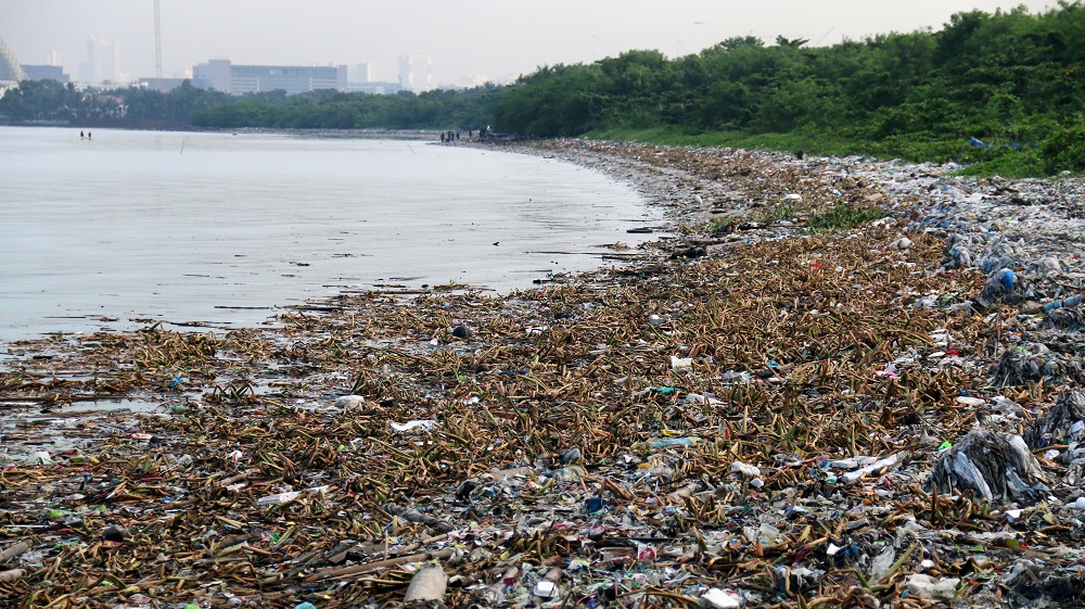 Sun Life Foundation LLPCHEA Coastal Cleanup Photo 1