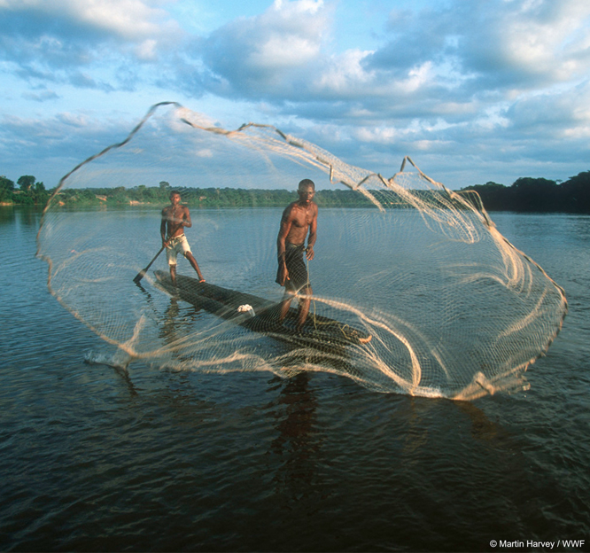 <h1>The Cost of Undervaluing our Rivers</h1>
<p>As floods and droughts ravage communities and countries worldwide</p>
<p style="text-align: right;"><a href="https://support.wwf.org.ph/what-we-do/food/thesustainablediner/philippine-harvest-2018/" target="_blank">Read More &gt;</a></p>