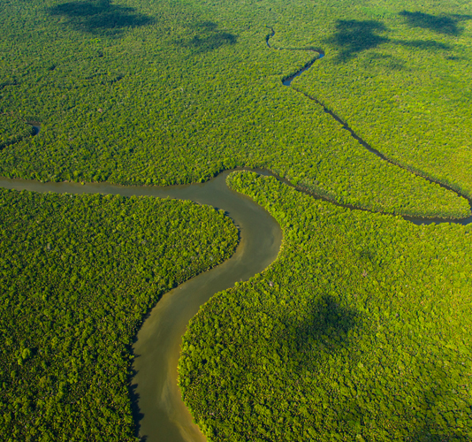 <h1>ASEAN Banks Need to Better Manage Climate Risks</h1>
<p>A new WWF report finds ASEAN’s biggest banks are increasingly aware of the impact that their businesses have on the environment</p>
<p style="text-align: right;"><a href="https://support.wwf.org.ph/resource-center/story-archives-2017/asean-banks-need-to-better-manage-climate-risk/">Read More &gt;</a></p>