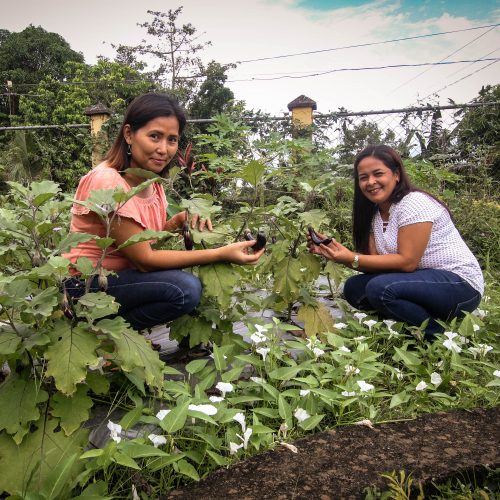 <h1>Sustainable Farm to Table</h1>
<p style="text-align: right;"><a href="https://support.wwf.org.ph/what-we-do/food/sustainable-farm-to-table/">Read More &gt;</a></p>