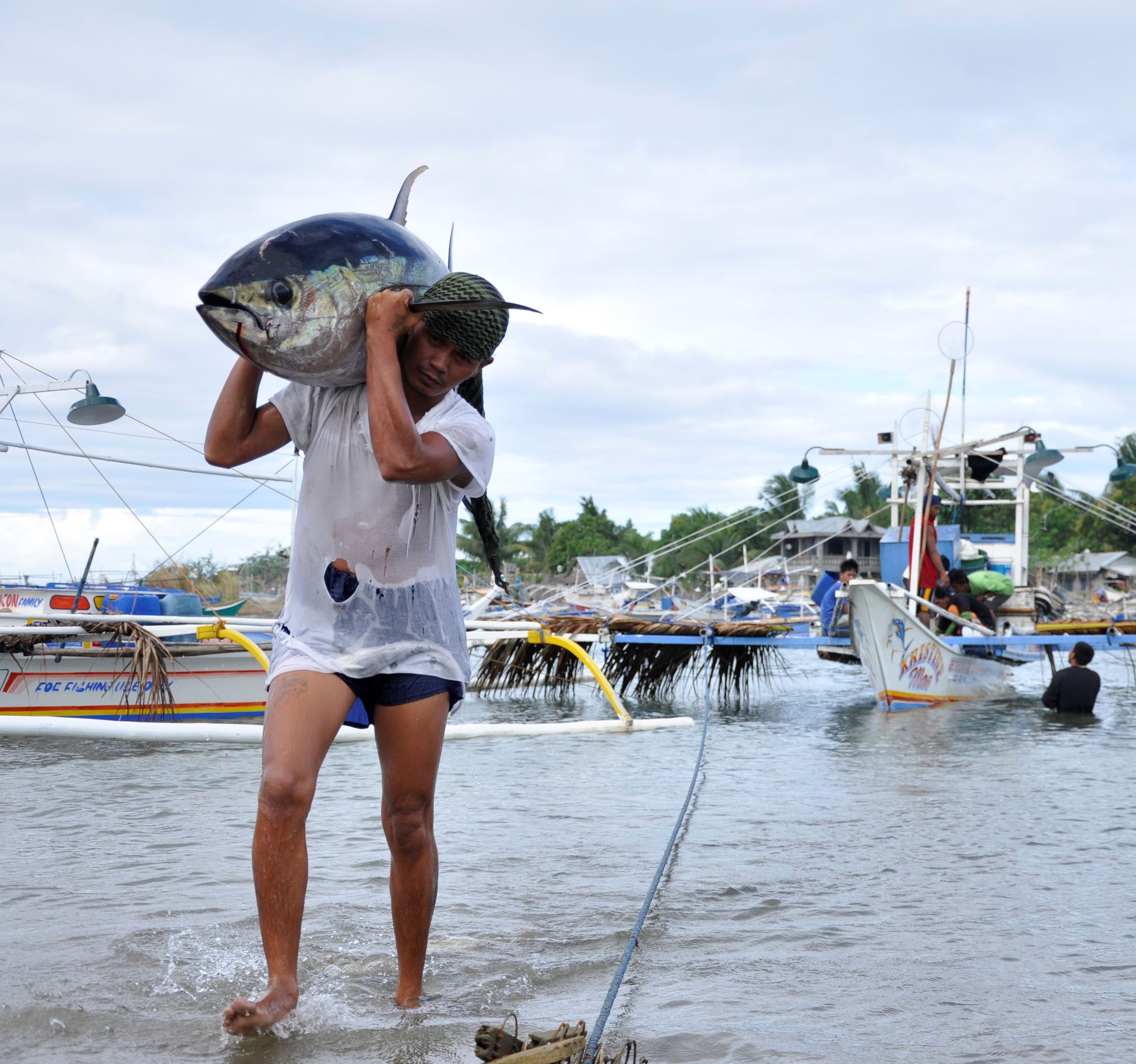 <h1>Mindoro Local Tuna Management Plan Launch</h1>
<p>May 2, 2019 saw the launch of the Mindoro Strait Tuna Fisheries Management Plan </p>
<p style="text-align: right;"><a href="https://support.wwf.org.ph/what-we-do/food/stp/mindoro-strait-local-tuna-management-plan/" target="_blank">Read More &gt;</a></p>
