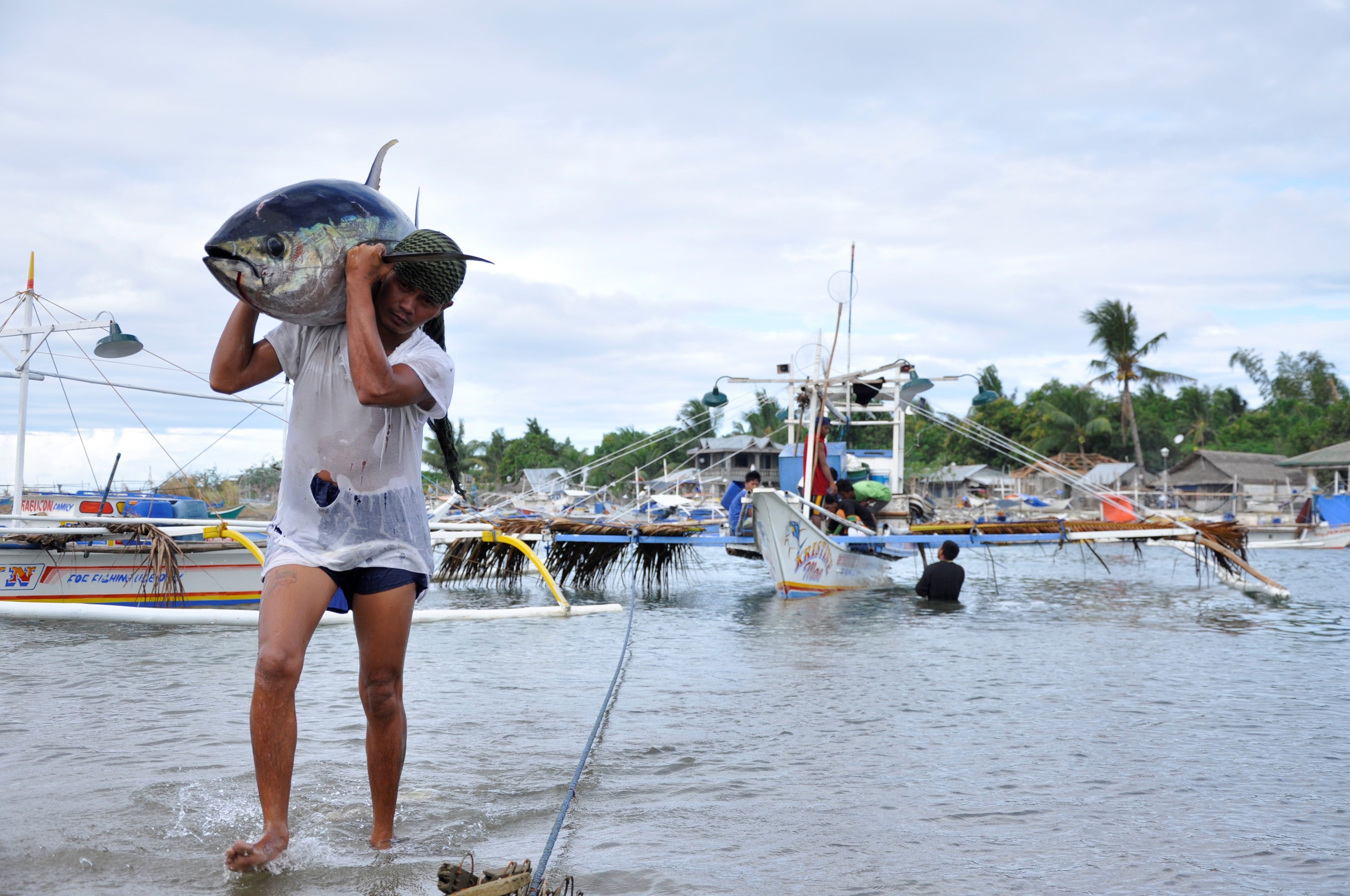 local tuna management plan 2