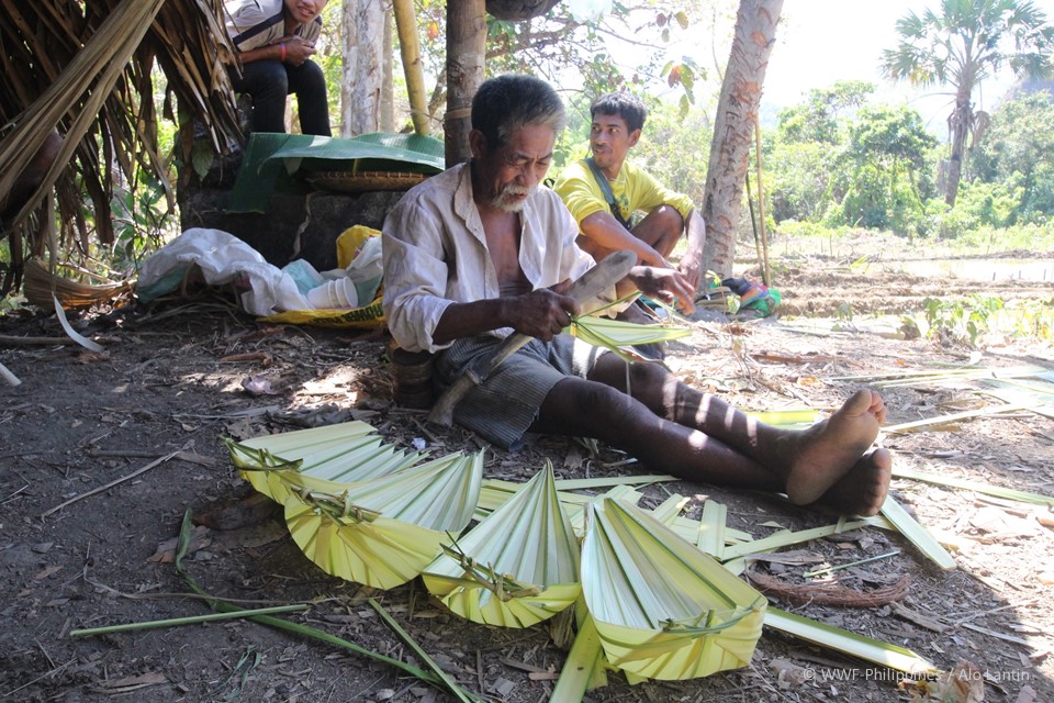 Mindoro Communal Farm - Alo Lantin, WWF-Philippines 3