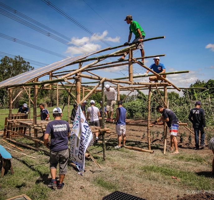 <h1>Food Shed Constructed with Pernod Ricard</h1>
<p>Hope builds for the sustainable futures of rural communities as the first food sheds rise in Luzon,</p>
<p style="text-align: right;"><a href="https://support.wwf.org.ph/resource-center/story-archives-2019/pernod-ricard-food-shed-luzon/">Read More &gt;</a></p>
