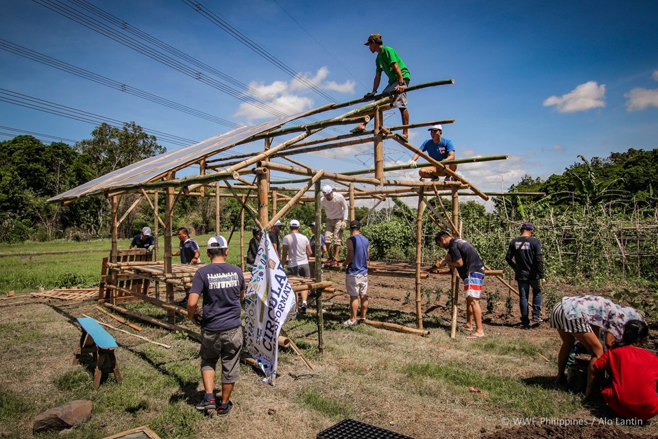 Pernod Ricard Food Shed - Alo Lantin, WWF-Philippines 1