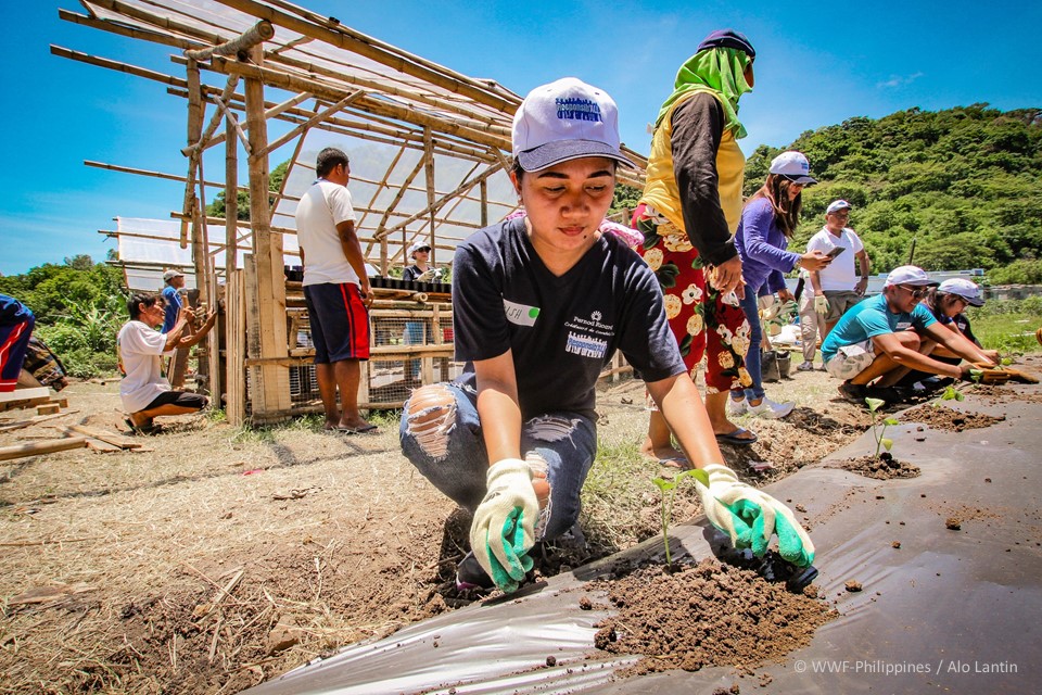 Pernod Ricard Food Shed - Alo Lantin, WWF-Philippines 3