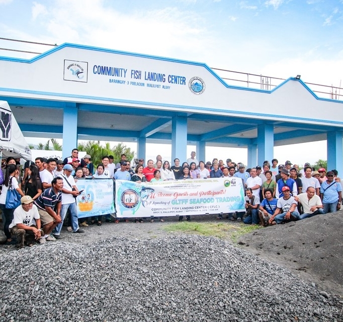 <h1>Bicol Small-Scale Tuna Fishers Launch Seafood Hub</h1>
<p>The Gulf of Lagonoy Tuna Fishers Federation, Inc. (GLTFFI) took their first steps towards</p>
<p style="text-align: right;"><a href="https://support.wwf.org.ph/resource-center/story-archives-2019/malilipot-seafood-hub/">Read More &gt;</a></p>