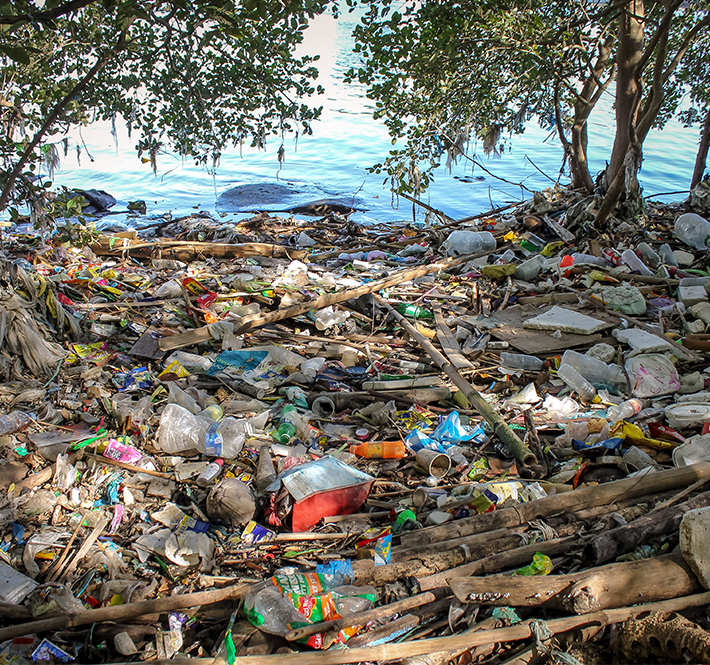 <h1>Battle Against Unnecessary Plastic Continues with “No Plastics in Nature” Initiative</h1>
<p>In line with the 1st anniversary of World Wide Fund for Nature /p>
<p style="text-align: right;"><a href="https://support.wwf.org.ph/resource-center/story-archives-2019/npin/" target="_blank">Read More &gt;</a></p>