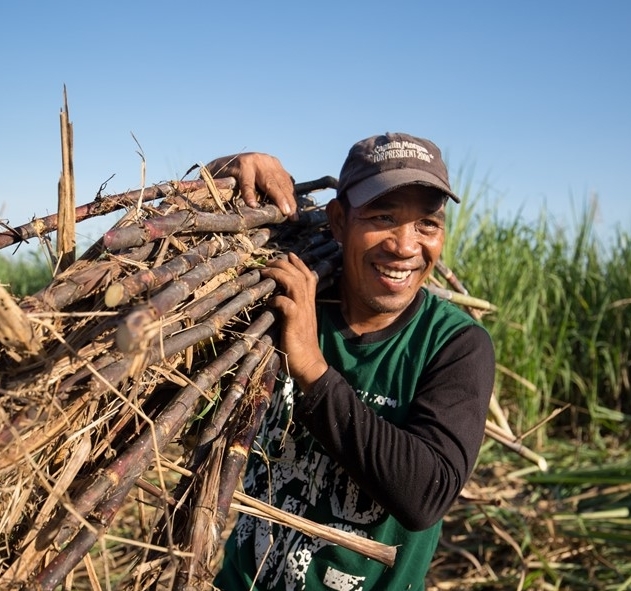 <h1>New Study Provides Suggestions for Climate-Proofing Sugarcane Farmers</h1>
<p>A recent study from the World Wide Fund for Nature (WWF) Philippines has recommended</p>
<p style="text-align: right;"><a href="https://support.wwf.org.ph/resource-center/story-archives-2019/climate-change-effects-on-sugar-cane/" target="_blank" rel="noopener noreferrer">Read More &gt;</a></p>