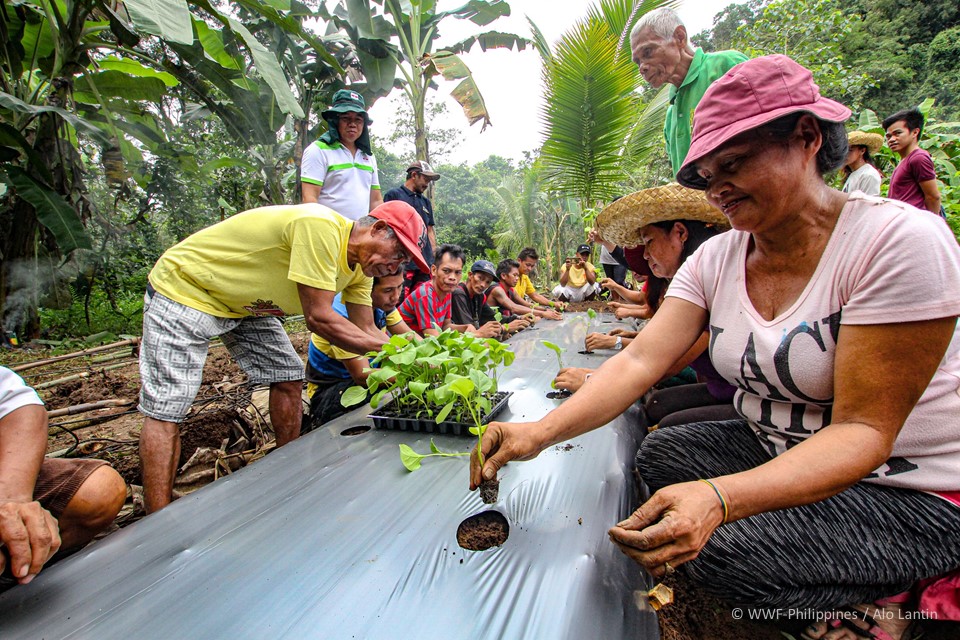 Farm to Table Ipo Watershed 2