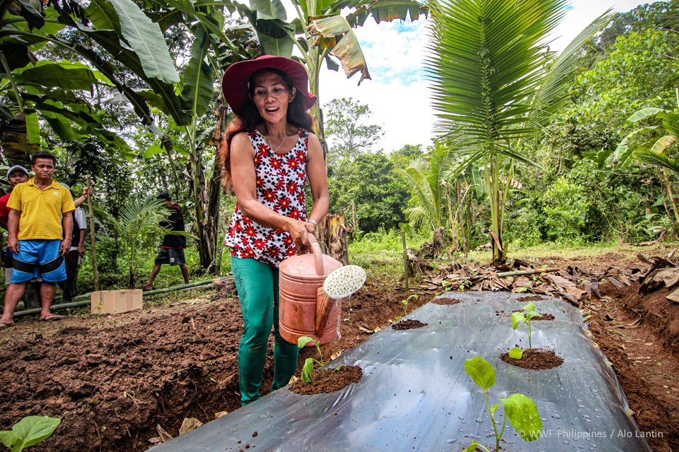 Farm to Table Ipo Watershed 3