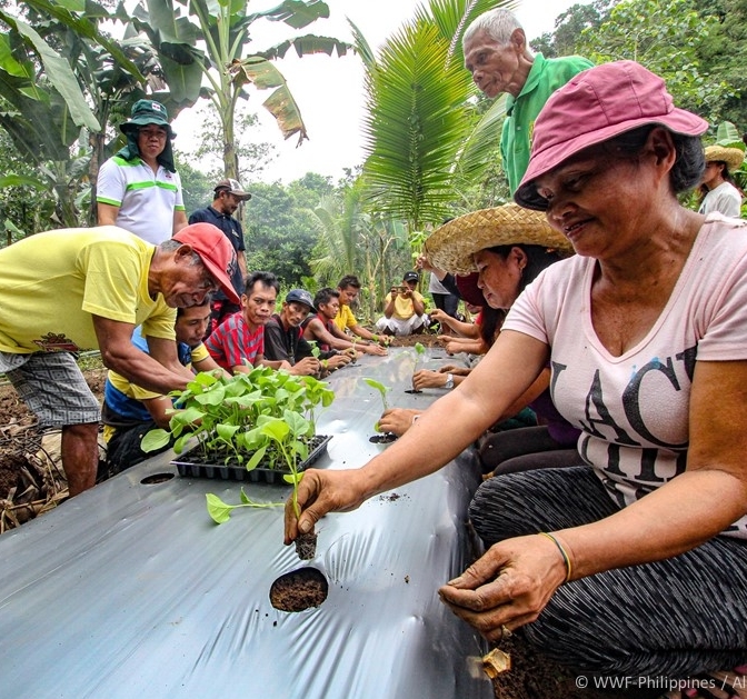 <h1>Food Security for Forest Conservation</h1>
<p>Indigenous men and women till their land and water their new crops as representatives</p><p style="text-align: right;"><a href="https://support.wwf.org.ph/resource-center/story-archives-2019/food-security-ipo-watershed/" target="_blank" rel="noopener noreferrer">Read More &gt;</a></p>