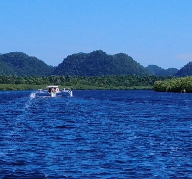 <h1>Climate Resiliency and Tourism with the SMILE Project</h1>
<p>Small-scale fishing communities often live a vulnerable existence. Physically,</p><p style="text-align: right;"><a href="https://support.wwf.org.ph/resource-center/story-archives-2019/smile-project-off-grid-island-climate-resiliency/" target="_blank" rel="noopener noreferrer">Read More &gt;</a></p>