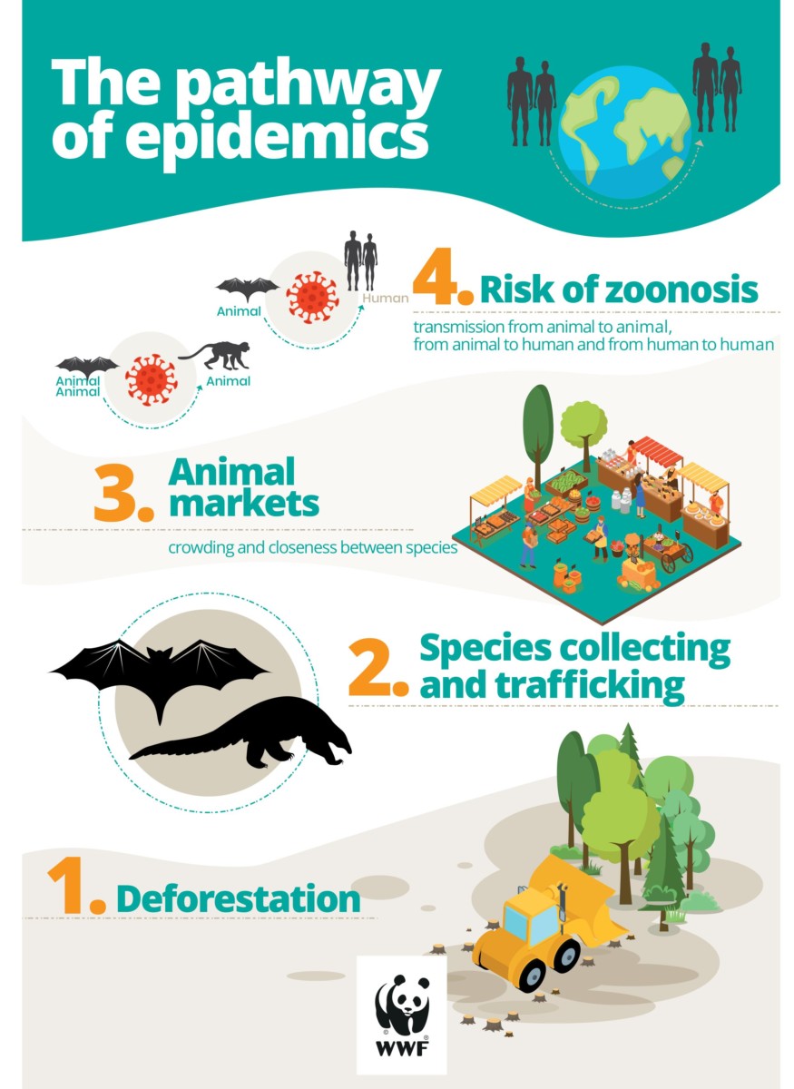 WWF Biodiversity and Pandemics-8 (1)72