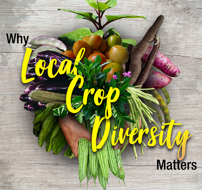 <h1>Why Local Crop Diversity Matters</h1>
<p>As we are all interconnected with each other, both humans and all other living organisms/p>
<p style="text-align: right;"><a href="https://support.wwf.org.ph/resource-center/story-archives-2020/local-crop-diversity/" target="_blank" rel="noopener noreferrer">Read More &gt;</a></p>