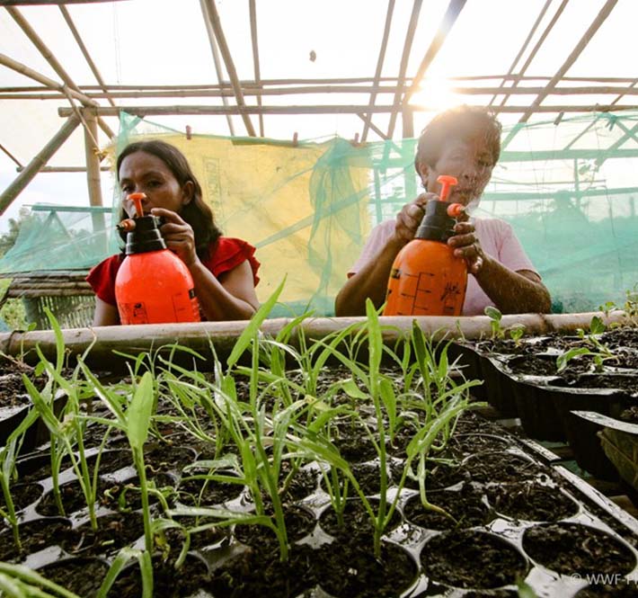 <h1>Communal Gardening Could Help Solve our Food Crisis in this COVID-19 World</h1>
<p>A survey from the Social Weather Station revealed that 4.2 million Filipinos experienced/p>
<p style="text-align: right;"><a href="https://support.wwf.org.ph/resource-center/story-archives-2020/communal-gardening-food-crisis/" target="_blank" rel="noopener noreferrer">Read More &gt;</a></p>
