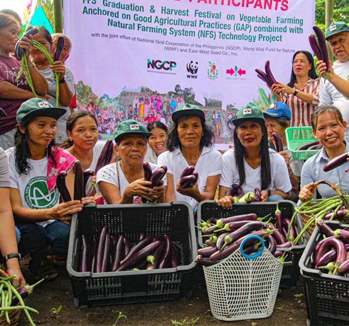 <h1>In These Times of Livelihood Crisis, Village Banks are Bringing Communities Together
</h1>
<p>Millions of Filipinos have found their livelihoods threatened under the shadow of the /p>
<p style="text-align: right;"><a href="https://support.wwf.org.ph/resource-center/story-archives-2020/village-banks/" target="_blank" rel="noopener noreferrer">Read More &gt;</a></p>