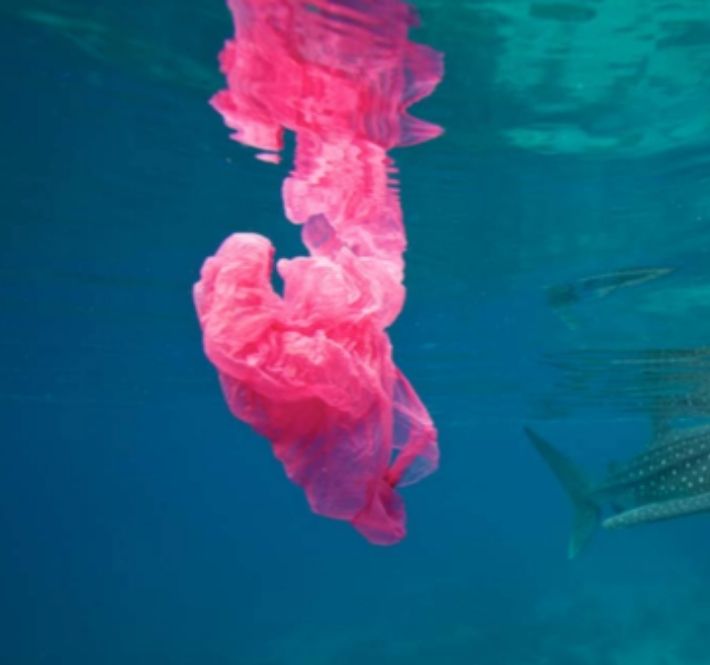 <h1>NGOs and businesses call for UN treaty on plastic pollution</h1>
<p>Major businesses issued a call today for a UN treaty on plastic pollution to address /p>
<p style="text-align: right;"><a href="https://support.wwf.org.ph/resource-center/story-archives-2020/un-treaty-on-plastic-pollution/" target="_blank" rel="noopener noreferrer">Read More &gt;</a></p>