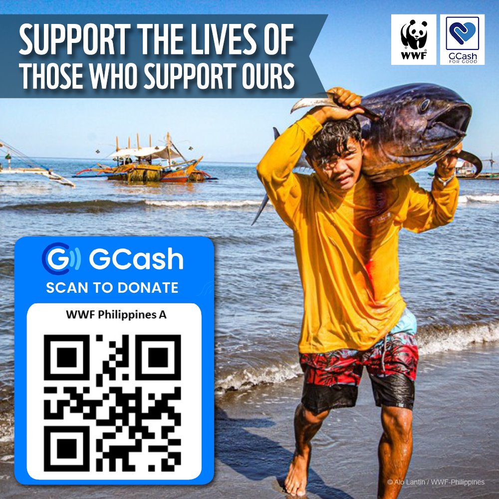GCash GCash