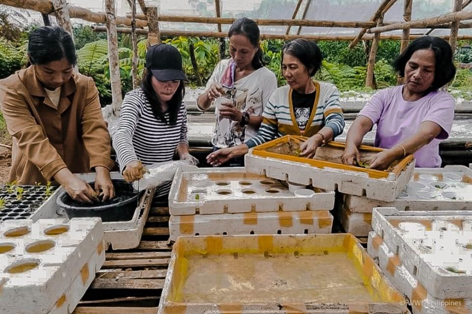 Food Shed Aquaponics 2