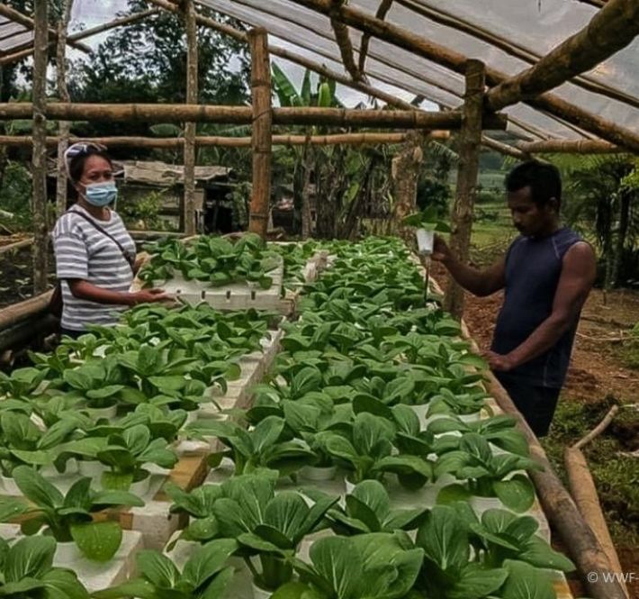 <h1>WWF-Philippines, Partners Introduce Aquaponics to Food Shed Systems</h1>
<p>The World Wide Fund for Nature (WWF) Philippines, together with Pilmico Foods Corporation,</p>
<p style="text-align: right;"><a href="https://support.wwf.org.ph/resource-center/story-archives-2020/aquaponics-to-food-shed-systems/" target="_blank" rel="noopener noreferrer">Read More &gt;</a></p>