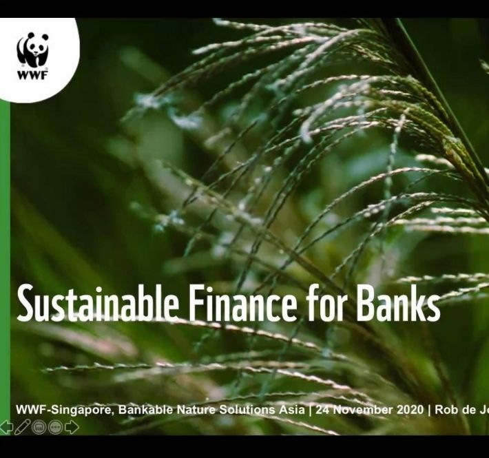<h1>WWF Network Discusses the Future of Sustainable Finance in the Face of Climate Change</h1>
<p>Experts from the World Wide Fund for Nature (WWF) and the United Nations Environment</p>
<p style="text-align: right;"><a href="https://support.wwf.org.ph/resource-center/story-archives-2020/future-of-sustainable-finance-in-climate-change/" target="_blank" rel="noopener noreferrer">Read More &gt;</a></p>