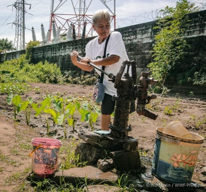 <h1>WWF-Philippines, BPI Foundation Team Up to Build Food Sheds Across the Philippines</h1>
<p>The World Wide Fund for Nature (WWF) Philippines and the Bank of the Philippine Islands (BPI) have partnered up</p>
<p style="text-align: right;"><a href="https://support.wwf.org.ph/resource-center/story-archives-2021/wwf-philippines-bpi-foundation-team-up/" target="_blank" rel="noopener noreferrer">Read More &gt;</a></p>