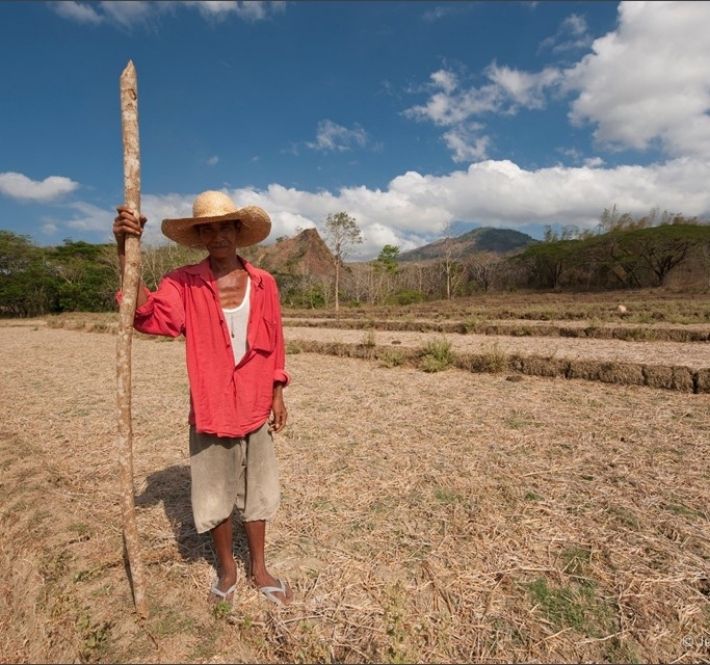 <h1>We need to act on our climate commitments - now</h1>
<p>A document draft outlines the Philippines’ Nationally Determined Contributions (NDCs) - our commitments to combating</p>
<p style="text-align: right;"><a href="https://support.wwf.org.ph/resource-center/story-archives-2021/climate-commitments-now/" target="_blank" rel="noopener noreferrer">Read More &gt;</a></p>