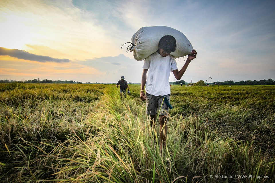 Earth Hour 2021 OpEd - Alo Lantin, WWF-Philippines 5