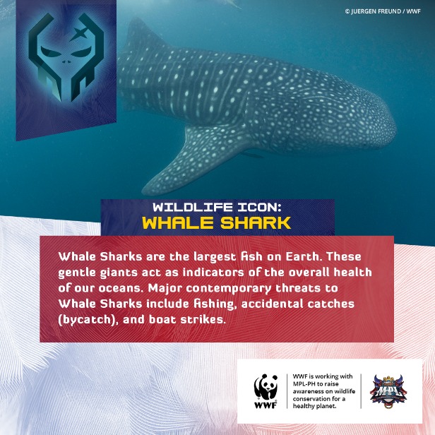 WWF-Philippines teams up with MPL-Philippines to achieve Victory for Nature! 013