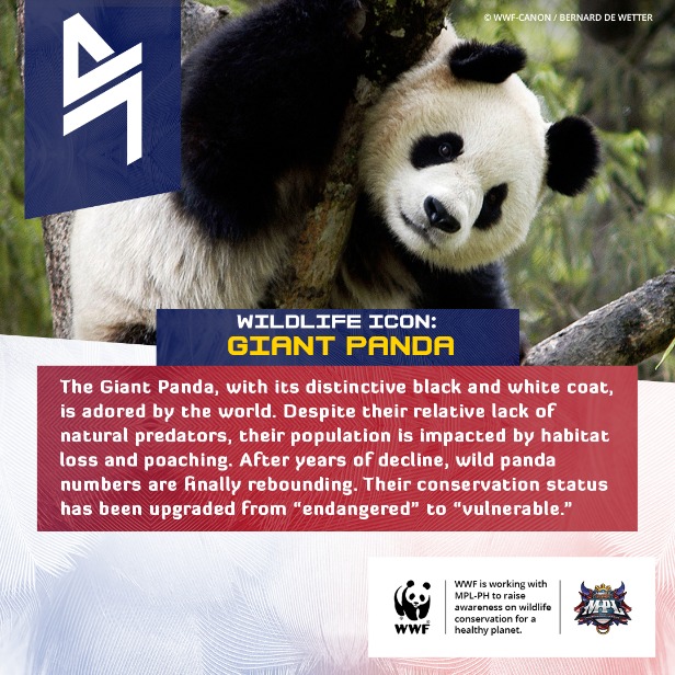 WWF-Philippines teams up with MPL-Philippines to achieve Victory for Nature! 015