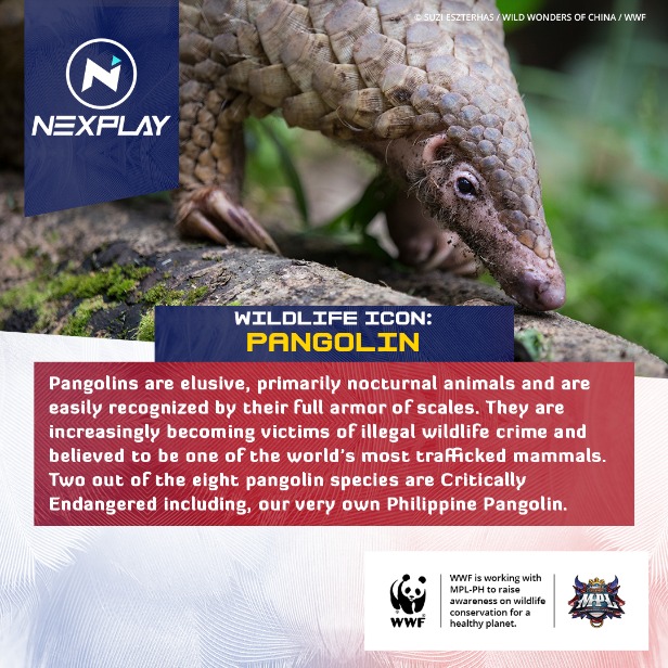 WWF-Philippines teams up with MPL-Philippines to achieve Victory for Nature! 11