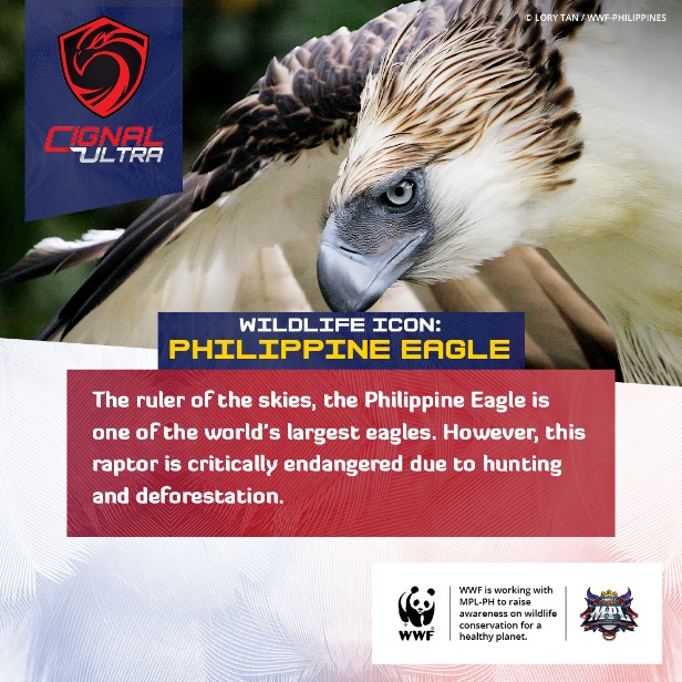 WWF-Philippines teams up with MPL-Philippines to achieve Victory for Nature! 17