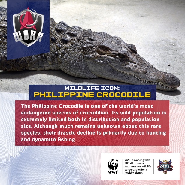 WWF-Philippines teams up with MPL-Philippines to achieve Victory for Nature! 19