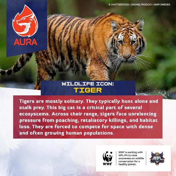 WWF-Philippines teams up with MPL-Philippines to achieve Victory for Nature! 7