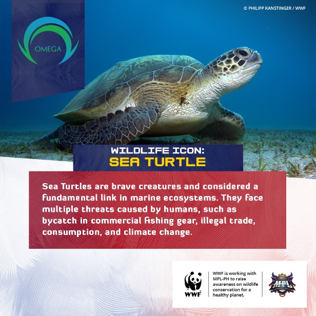 WWF-Philippines teams up with MPL-Philippines to achieve Victory for Nature! 9