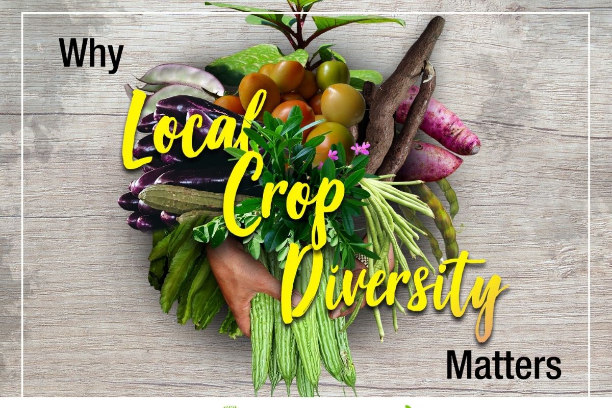 WWF-Philippines | Why Local Crop Diversity Matters
