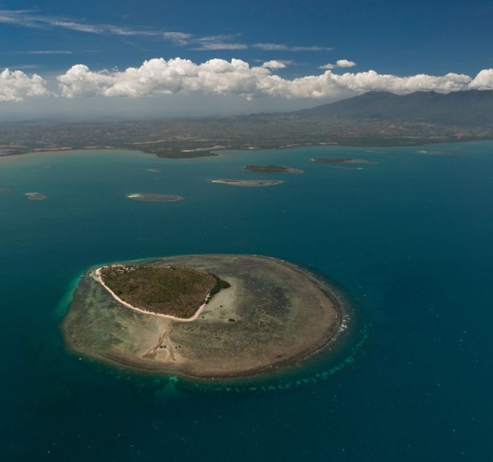 <h1>WWF-PH statement: Rampant illegal activities vs taklobo in Palawan must be stopped immediately</h1>
<p>On Friday, April 16, 2021, the Philippine Coast Guard seized more than 200 tons of</p>
<p style="text-align: right;"><a href="https://support.wwf.org.ph/resource-center/story-archives-2021/rampant-illegal-activities-vs-taklobo-in-palawan/" target="_blank" rel="noopener noreferrer">Read More &gt;</a></p>