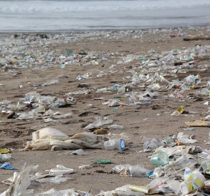 <h1>Startup entrepreneurs join pitch for plastic pollution-free future in partnership with WWF Philippines</h1>
<p>The World Wide Fund for Nature (WWF) Philippines partners with The Incubation Network</p>
<p style="text-align: right;"><a href="https://support.wwf.org.ph/resource-center/story-archives-2021/pitch-for-plastic-pollution-free-future/" target="_blank" rel="noopener noreferrer">Read More &gt;</a></p>