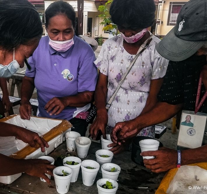 <h1>WWF-Philippines, BPI Foundation use hybrid learning to run livelihood workshops with farmers</h1>
<p>The World Wide Fund for Nature (WWF) Philippines and the Bank of the Philippine Islands (BPI) Foundation</p>
<p style="text-align: right;"><a href="https://support.wwf.org.ph/resource-center/story-archives-2021/hybrid-learning/" target="_blank" rel="noopener noreferrer">Read More &gt;</a></p>