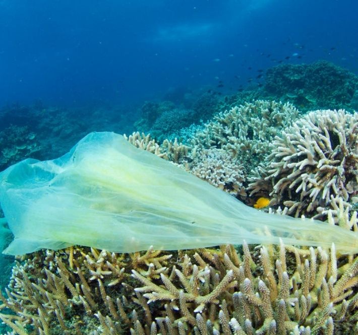 <h1>WWF-PH lauds gov’t endorsement of UN declaration for dev’t of global treaty vs. plastic pollution</h1>
<p>World Wide Fund for Nature (WWF) Philippines welcomes the Philippine government’s</p>
<p style="text-align: right;"><a href="https://support.wwf.org.ph/resource-center/story-archives-2021/global-treaty-vs-plastic-pollution/" target="_blank" rel="noopener noreferrer">Read More &gt;</a></p>