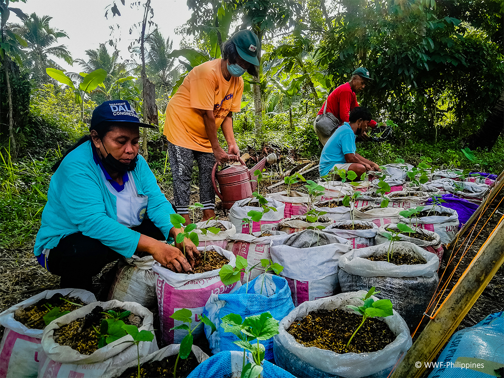 Tigbalabag Food Shed PR Updated - WWF-Philippines 6