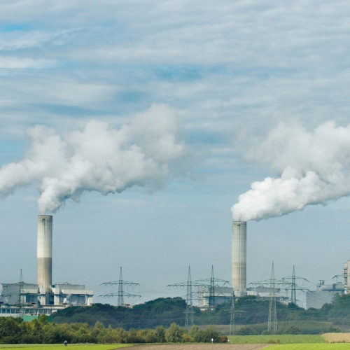 <h1>Ahead of COP, China’s announcement to end financing for coal power plants proves coal is on its way out</h1>
<p>Chinese President Xi Jinping’s announcement at the UN General Assembly that the country will not build new coal-fired power plants abroad</p>
<p style="text-align: right;"><a href="https://support.wwf.org.ph/resource-center/story-archives-2021/ahead-of-cop-chinas-announcement-to-end-financing-for-coal-power-plants-proves-coal-is-on-its-way-out/" target="_blank" rel="noopener noreferrer">Read More &gt;</a></p>