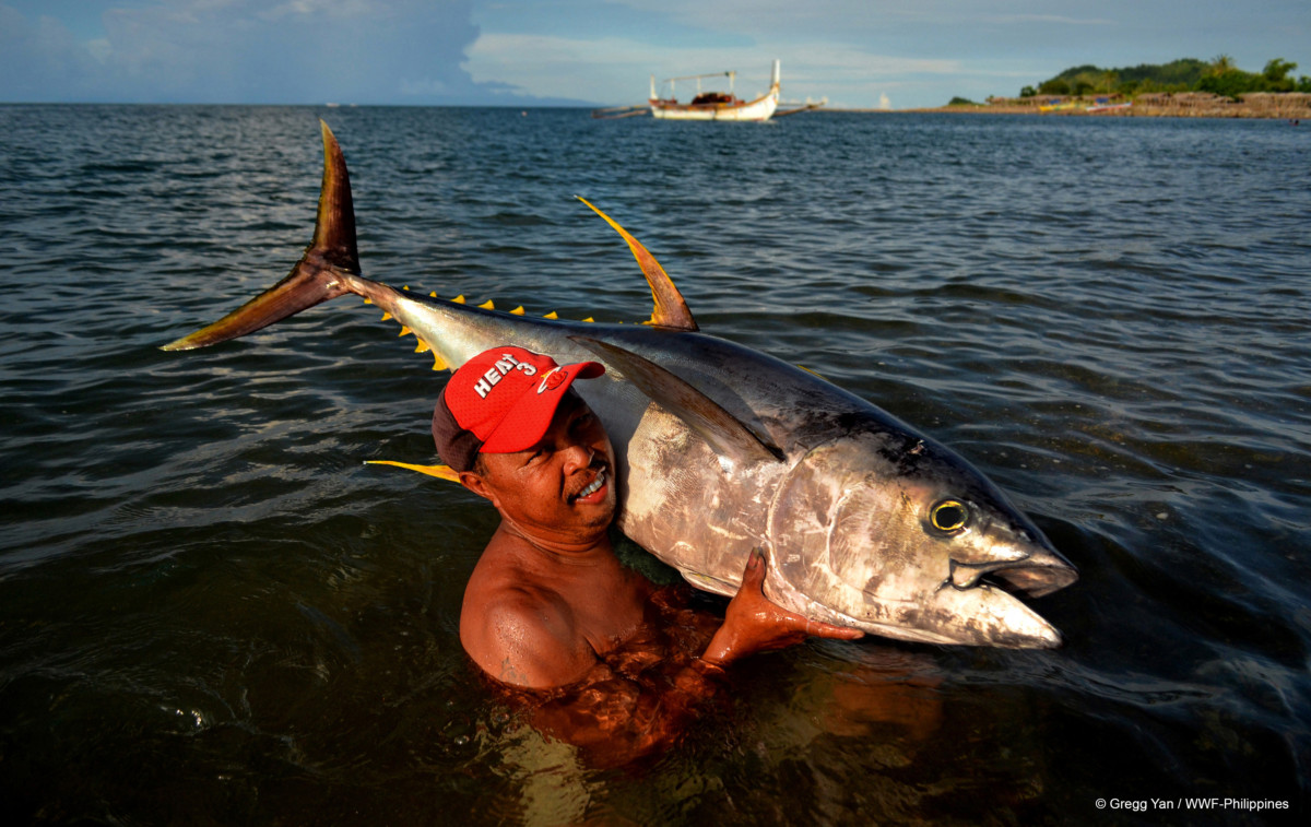 Bangkulis PR - Gregg Yan, WWF-Philippines 3