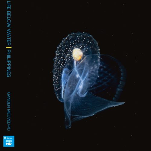 <h1> 17-year old photographer launches book for the benefit of WWF
 </h1>
<p> The ocean covers about 70 percent of the Earth’s surface, serving as a home to diverse and breathtaking underwater gardens and marine wildlife. Truly, there is much to be discovered in the vast underwater world, and 17-year old photographer Ganden Medved-Po will give us a glimpse of its beauty as he unveils his “Life Below Water” ocean photography book.
 </p>
<p style="text-align: right;"><a href="https://support.wwf.org.ph/resource-center/story-archives-2021/17-year-old-photographer-launches-book-for-the-benefit-of-wwf/" target="_blank" rel="noopener noreferrer">Read More &gt;</a></p>