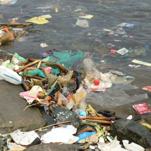 <h1> Plastic pollution reaching Philippine waters equivalent to 14 Titanics. WWF’s three-year project with Grieg foundation, a Norwegian foundation, aims to reduce the waste by 50%</h1>
<p style="text-align: right;"><a href="https://support.wwf.org.ph/resource-center/story-archives-2022/plastic-pollution-reaching-philippine-waters-equivalent-to-14-titanics-wwfs-three-year-project-with-grieg-foundation-a-norwegian-foundation-aims-to-reduce-the-waste-by-50/" target="_blank" rel="noopener noreferrer">Read More &gt;</a></p>